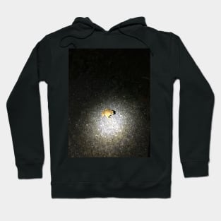 Toad Spotlight Hoodie